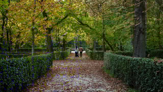 Stroll Through Sabatini Gardens